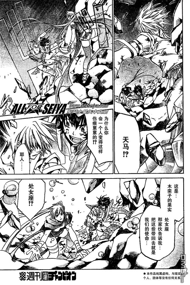 第30话-圣斗士星矢 冥王神话-手代木史织（第5张）
