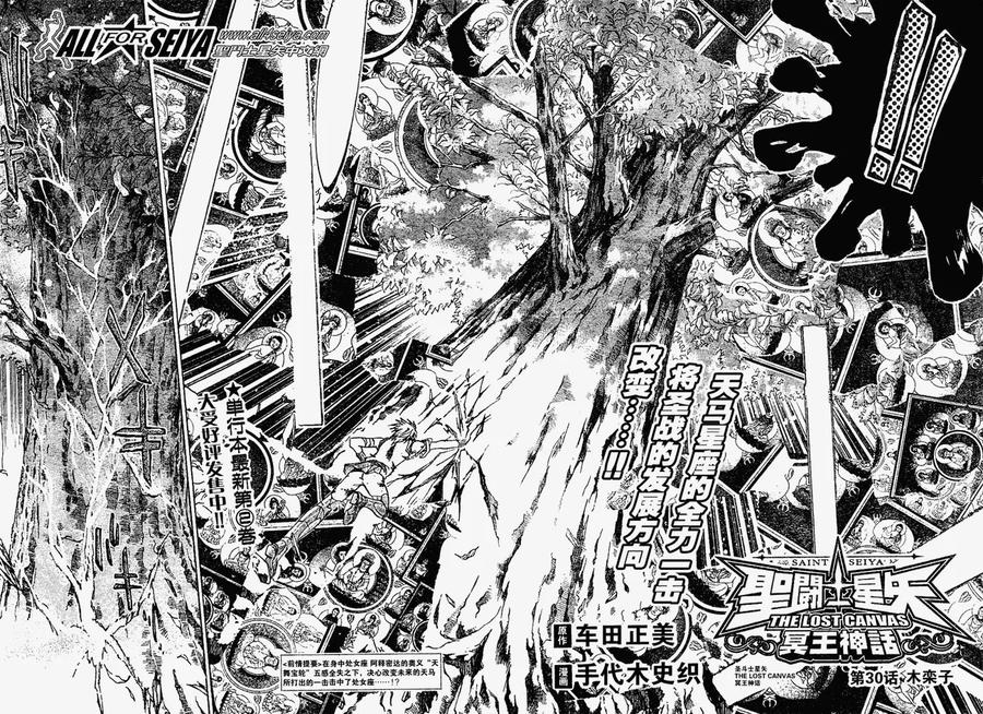 第30话-圣斗士星矢 冥王神话-手代木史织（第1张）