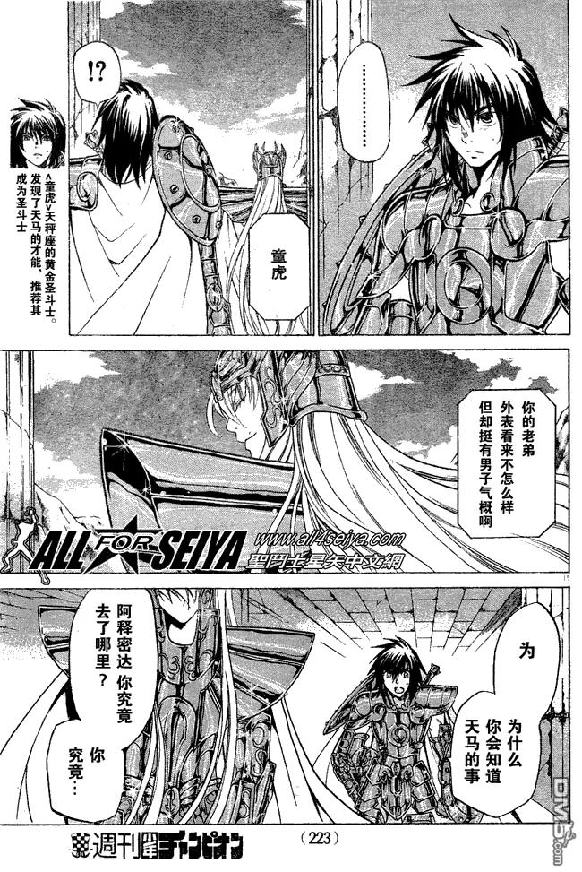 第30话-圣斗士星矢 冥王神话-手代木史织（第13张）
