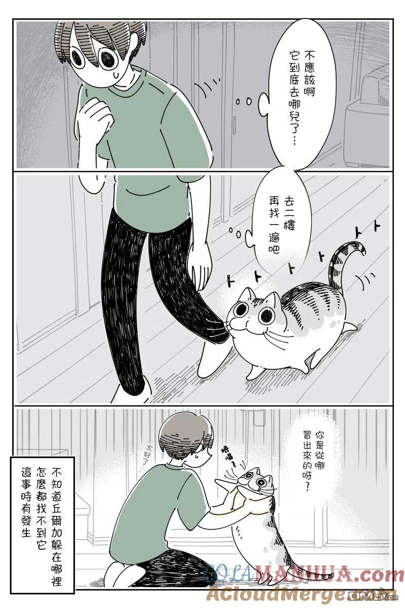 第73话-关于养猫我一直是新手-キュルZ（第2张）
