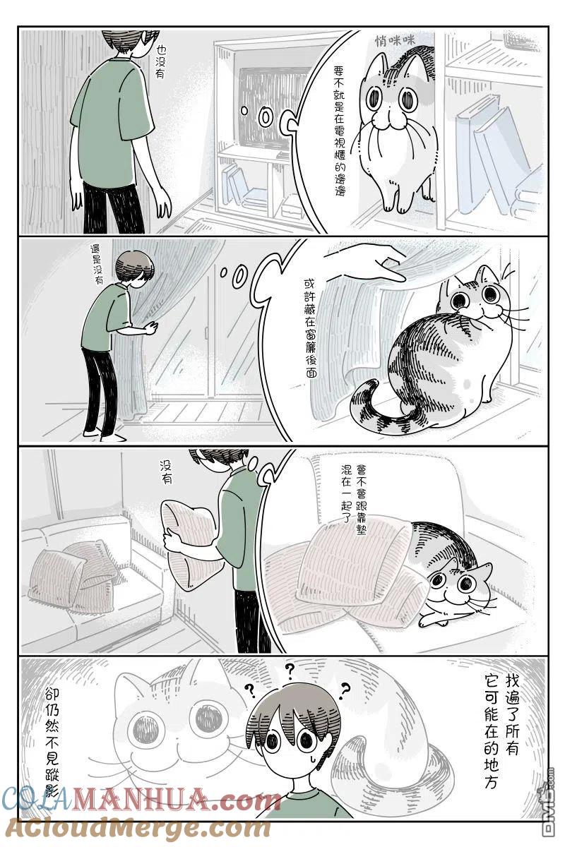 第73话-关于养猫我一直是新手-キュルZ（第1张）