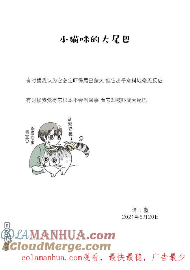 第78话-关于养猫我一直是新手-キュルZ（第3张）