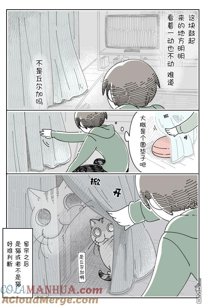第93话-关于养猫我一直是新手-キュルZ（第1张）