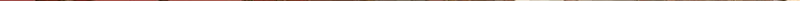 69.jpg