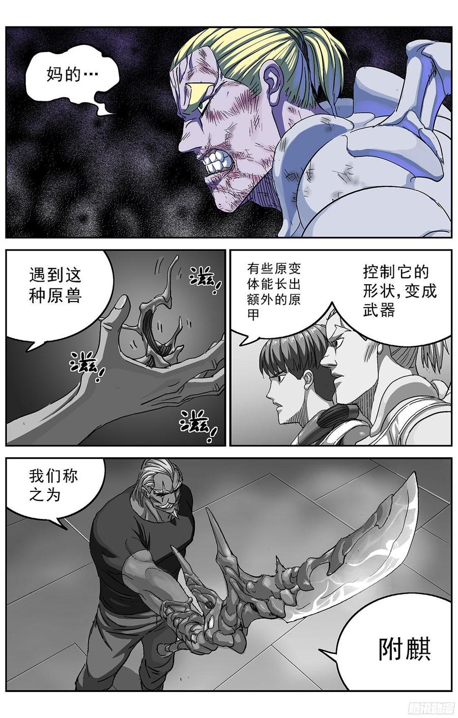 13.jpg