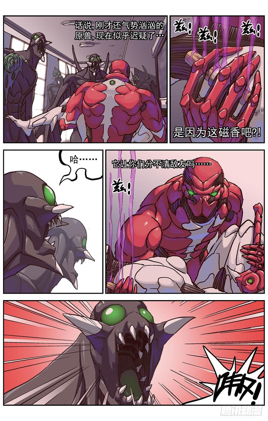 13.jpg