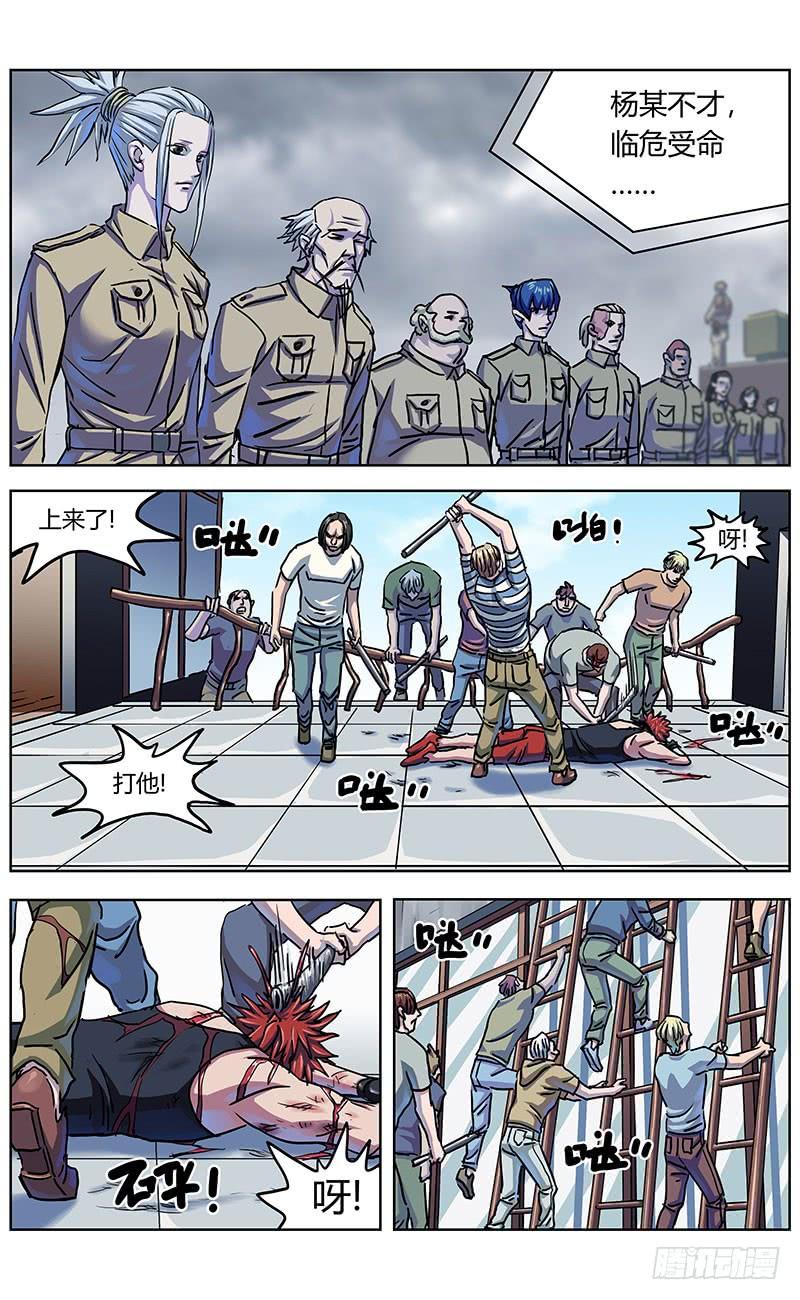 11.jpg