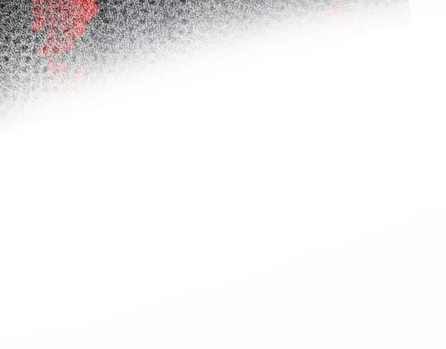 96.jpg