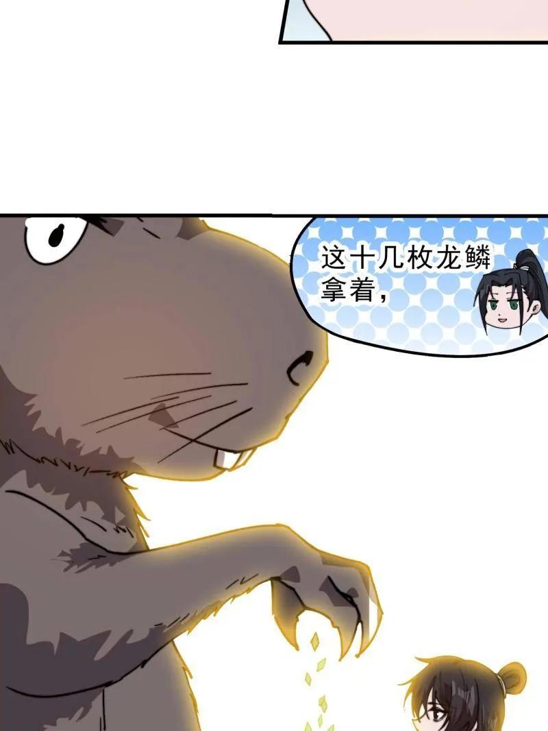 54.jpg