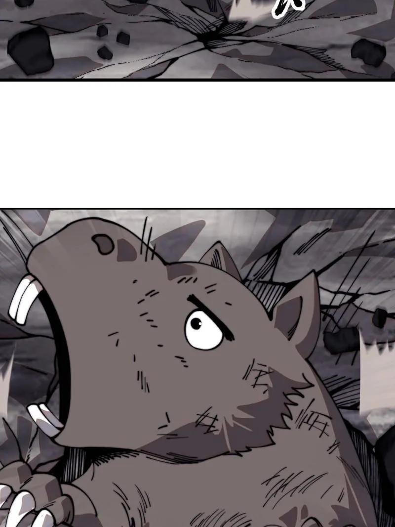 46.jpg