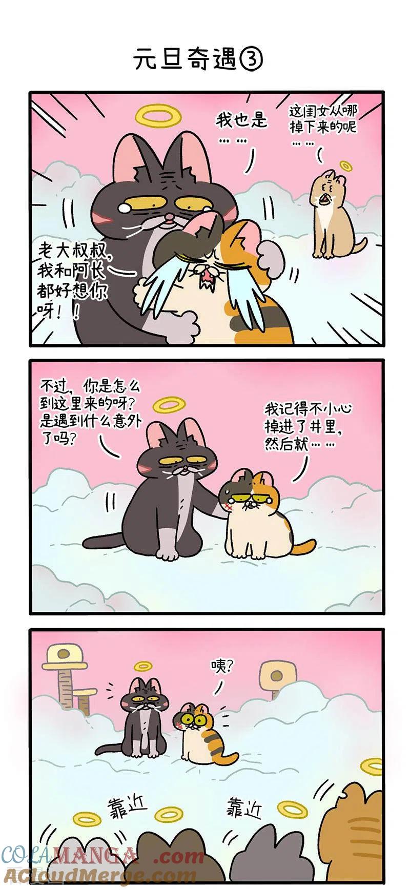 番外13上元旦奇遇-阿满和麦茶-新漫画 日胖大海寺（第4张）