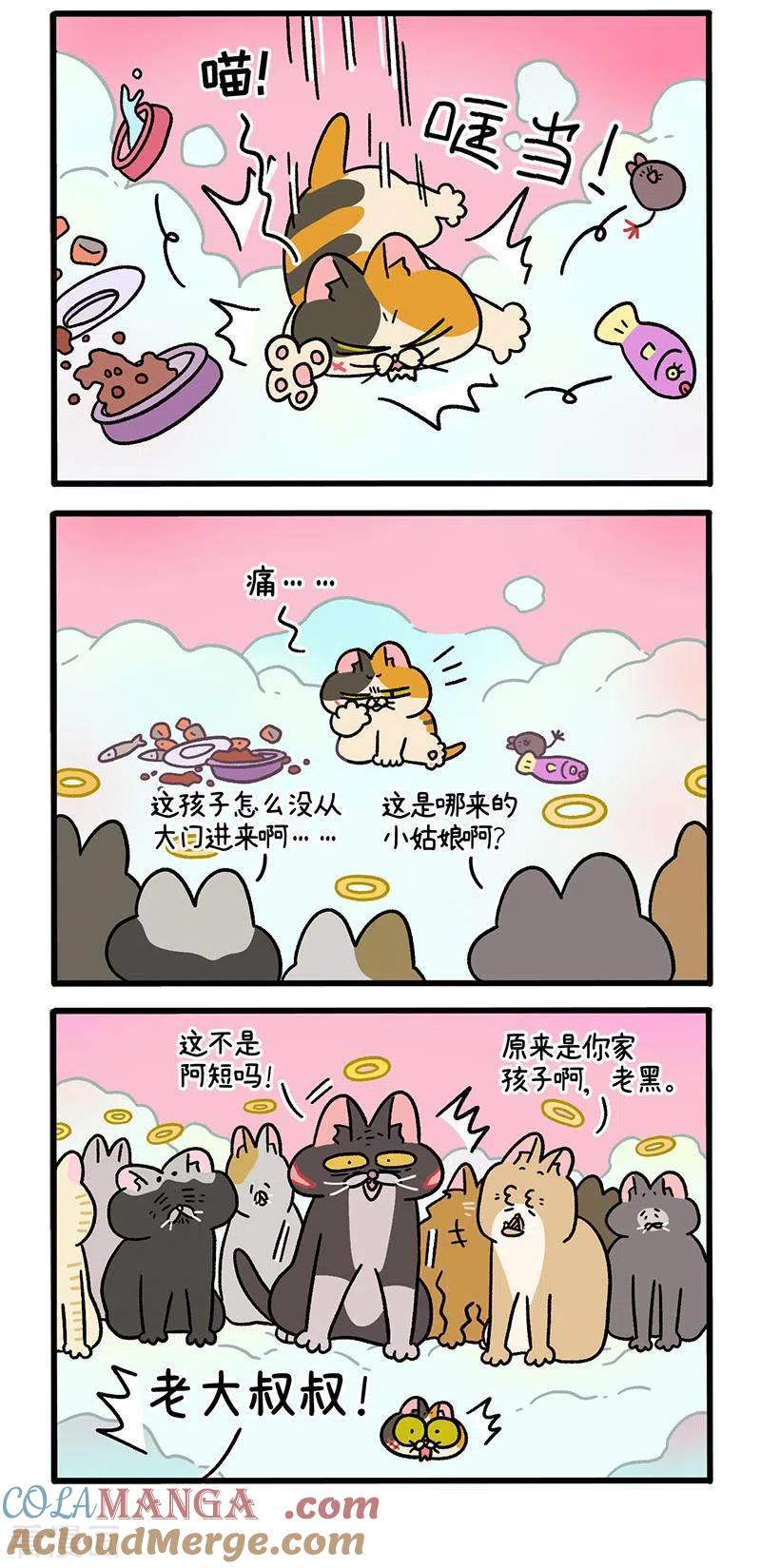 番外13上元旦奇遇-阿满和麦茶-新漫画 日胖大海寺（第3张）