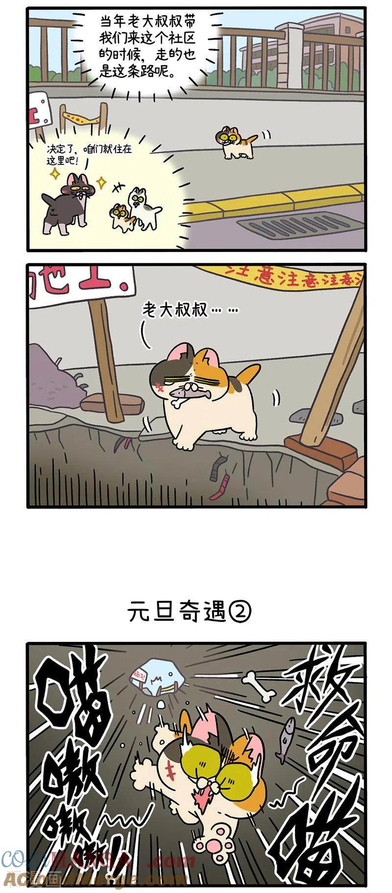 番外13上元旦奇遇-阿满和麦茶-新漫画 日胖大海寺（第2张）