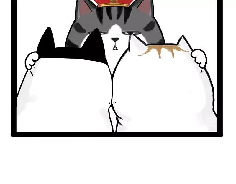 51.jpg