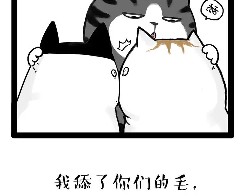 54.jpg