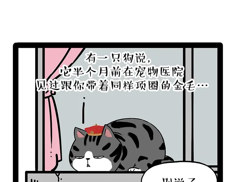 68.jpg