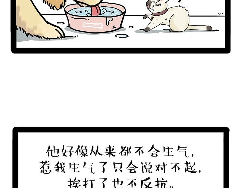 47.jpg