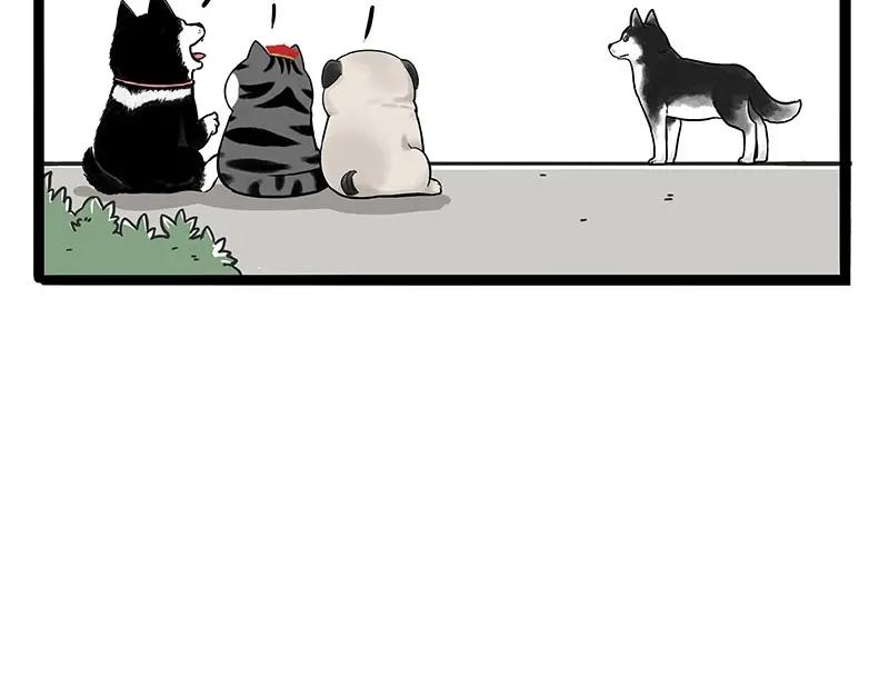 36.jpg
