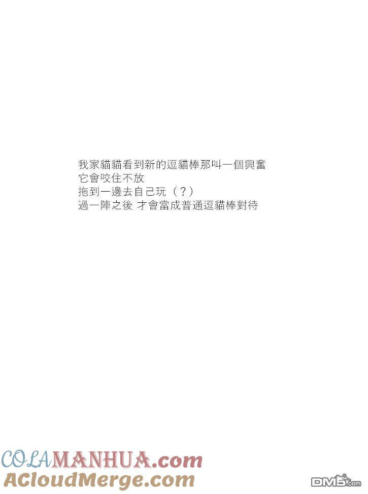 第40话-关于养猫我一直是新手-キュルZ（第3张）