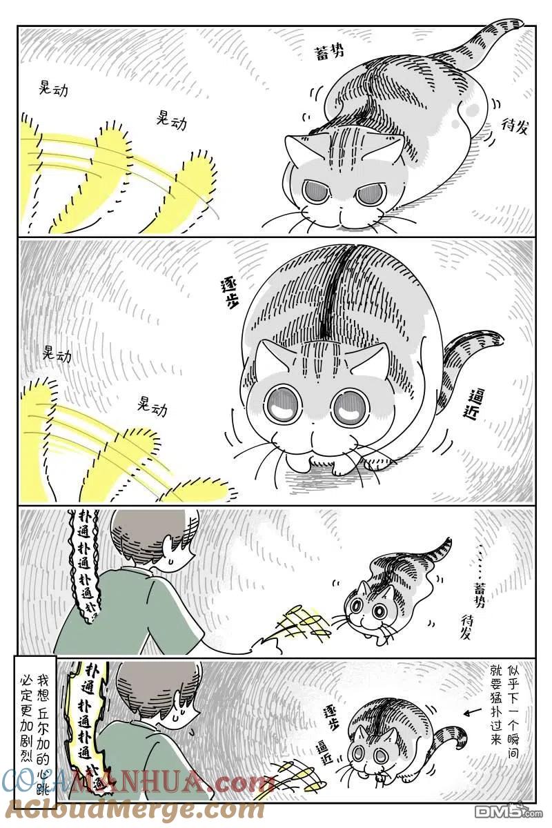 第77话-关于养猫我一直是新手-キュルZ（第1张）