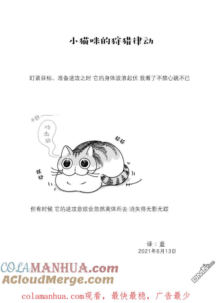 第77话-关于养猫我一直是新手-キュルZ（第2张）