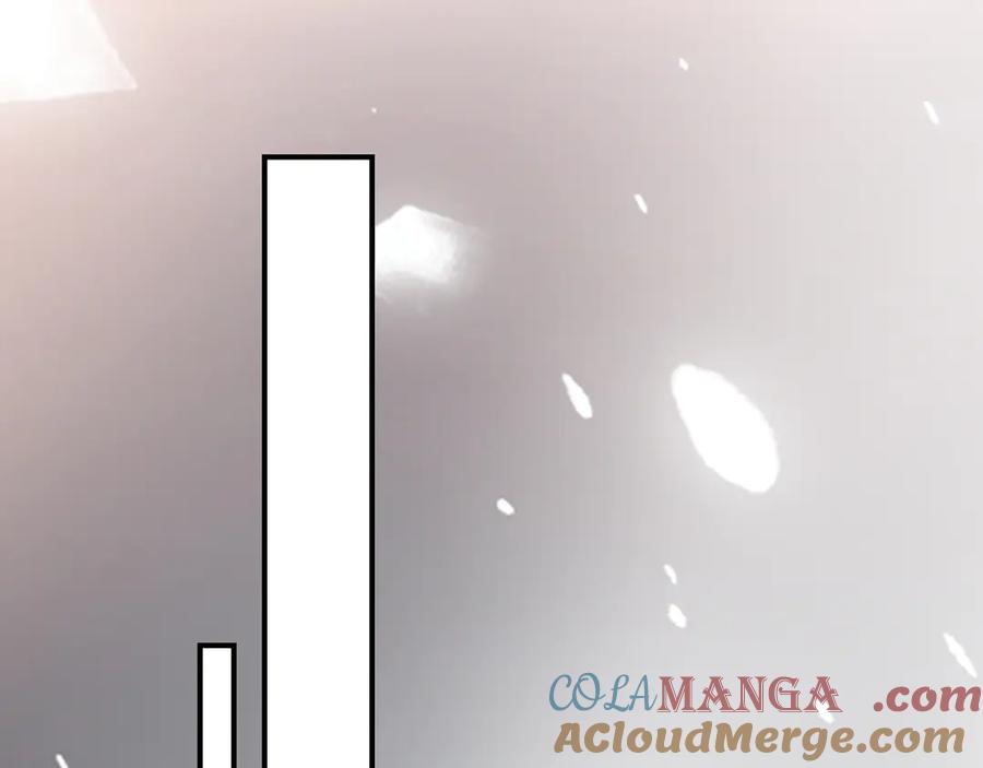 141.jpg