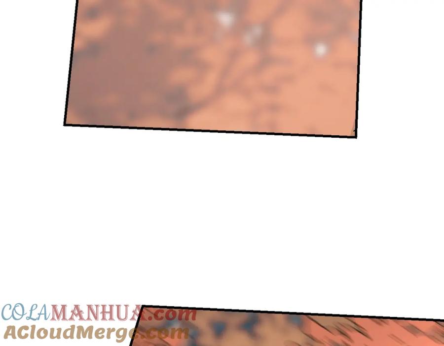 141.jpg