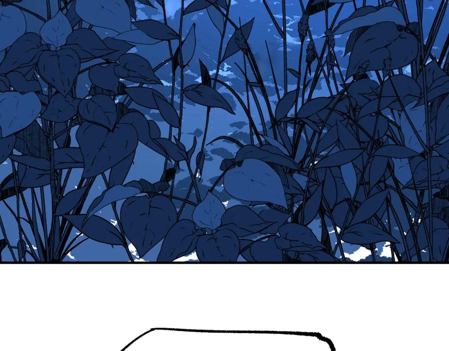 175.jpg