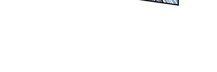 100.jpg