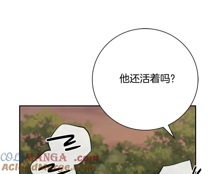 181.jpg