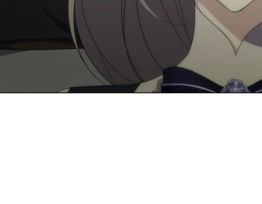 244.jpg