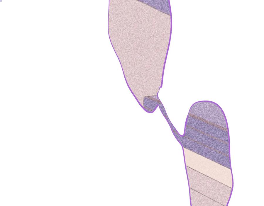 91.jpg