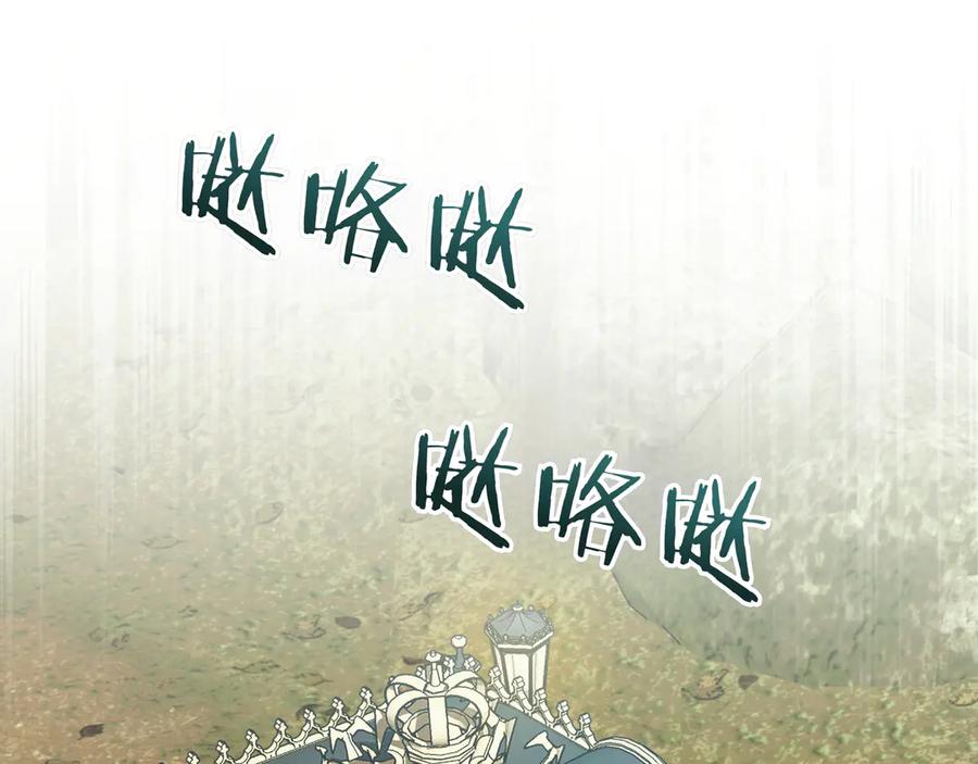 167.jpg