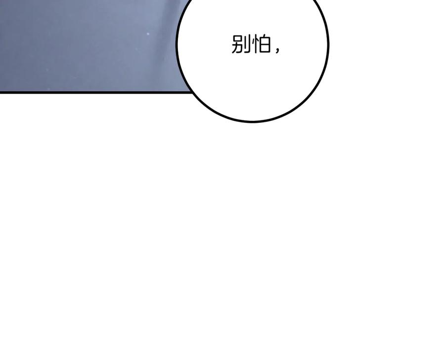 239.jpg