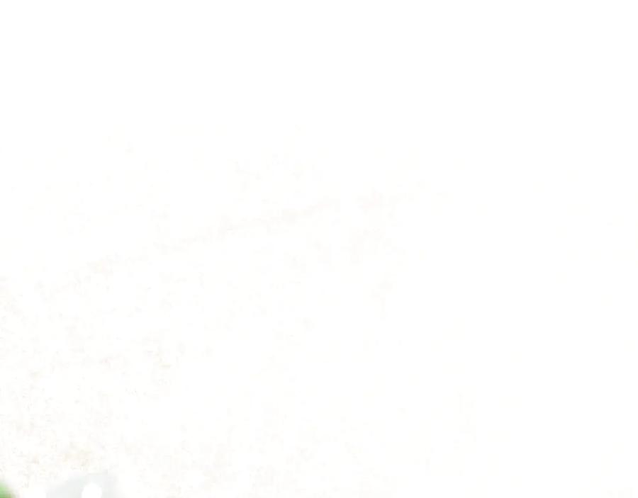 127.jpg
