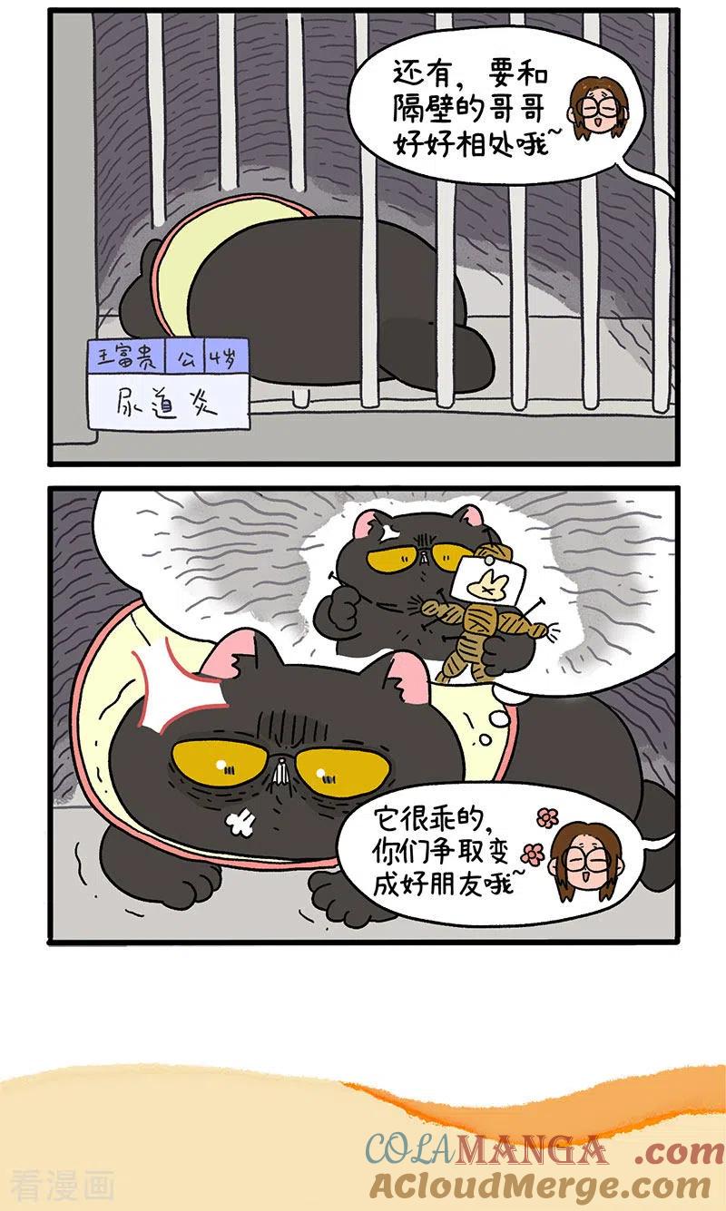 第18话1病友-阿满和麦茶-新漫画 日胖大海寺（第5张）