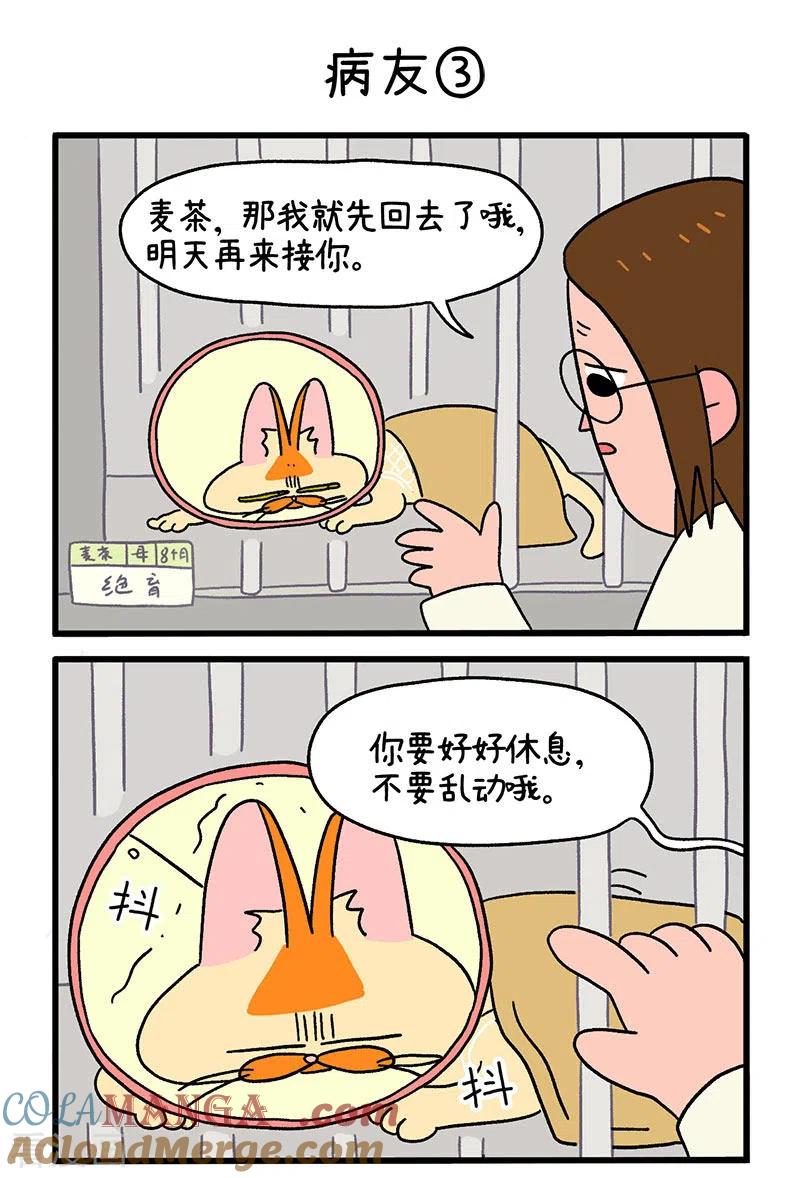 第18话1病友-阿满和麦茶-新漫画 日胖大海寺（第4张）