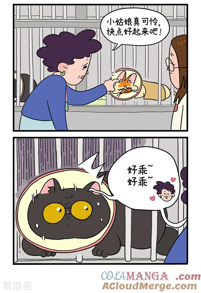 第18话1病友-阿满和麦茶-新漫画 日胖大海寺（第2张）