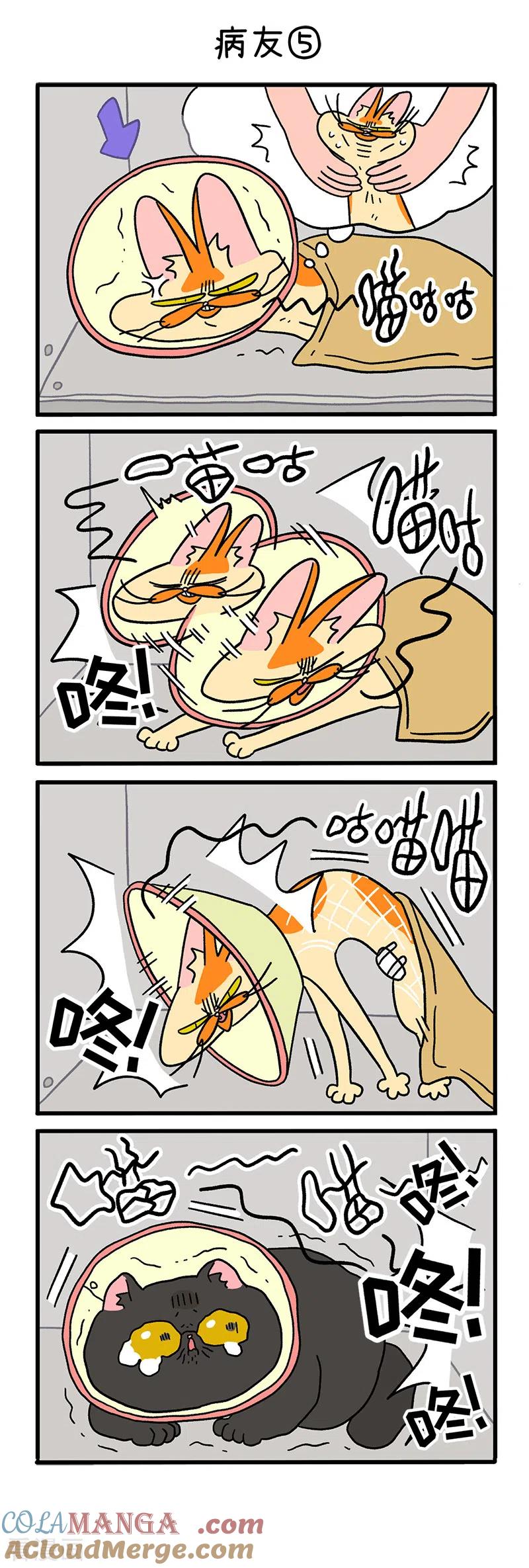 第18话2病友-阿满和麦茶-新漫画 日胖大海寺（第3张）