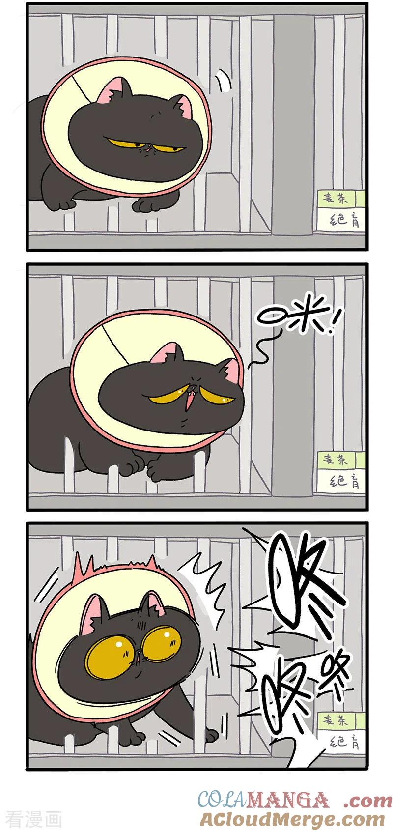 第18话2病友-阿满和麦茶-新漫画 日胖大海寺（第2张）