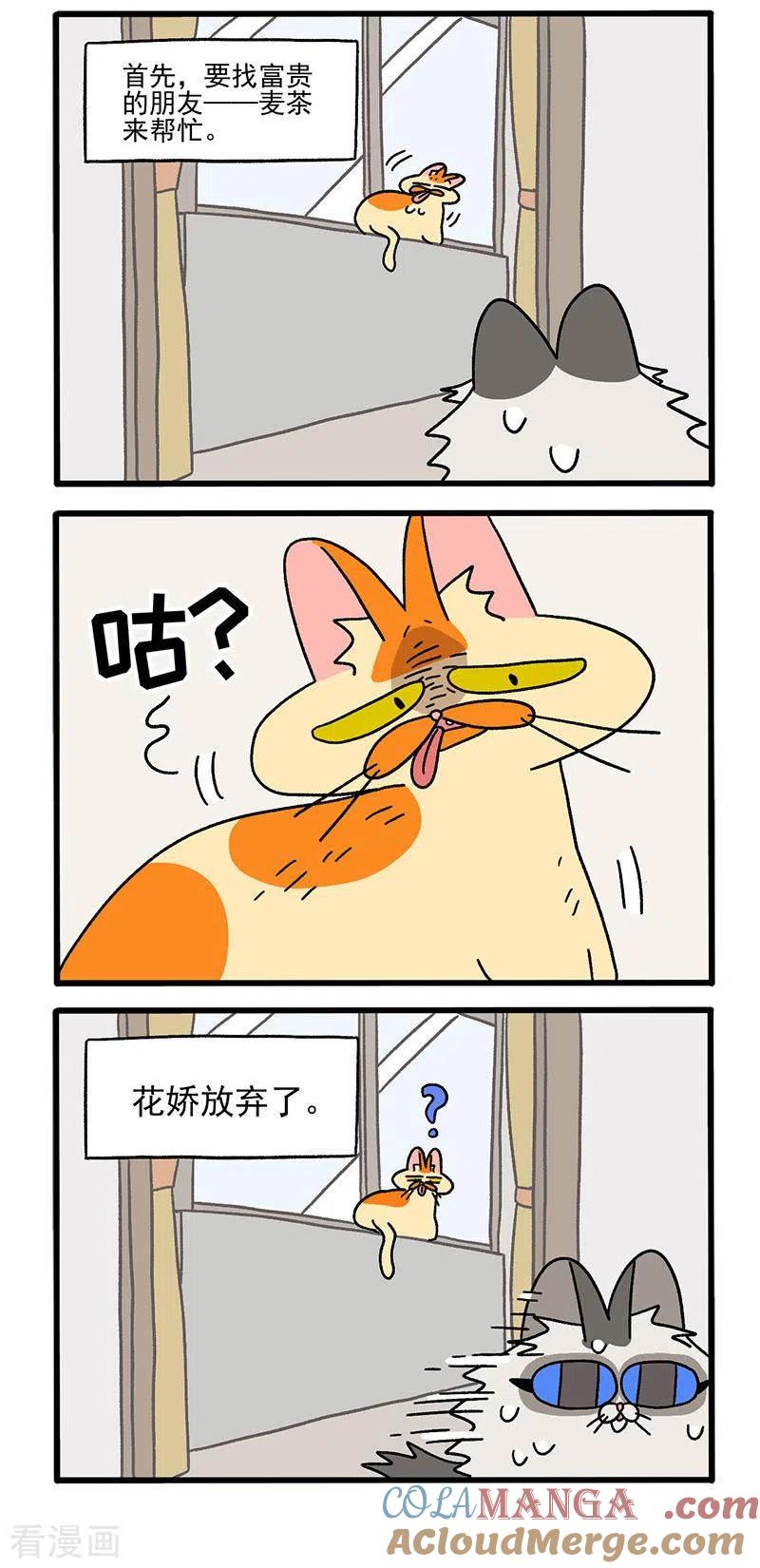 第39话1怎么办才好-阿满和麦茶-新漫画 日胖大海寺（第3张）