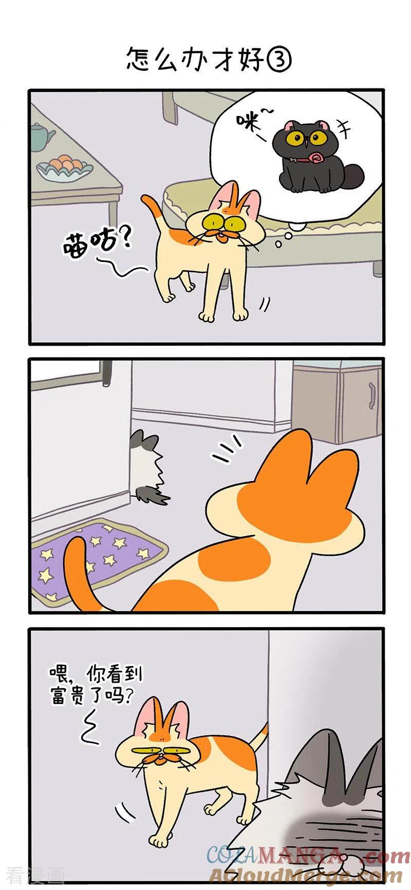 第39话1怎么办才好-阿满和麦茶-新漫画 日胖大海寺（第4张）