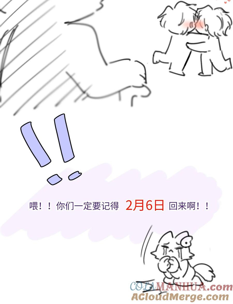 41.jpg