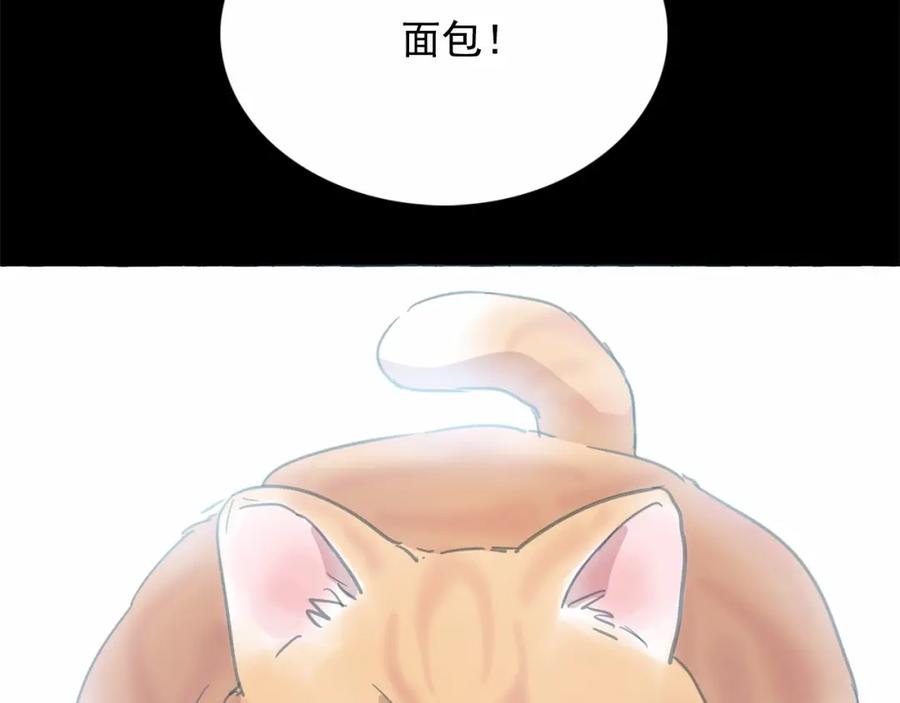 119.jpg