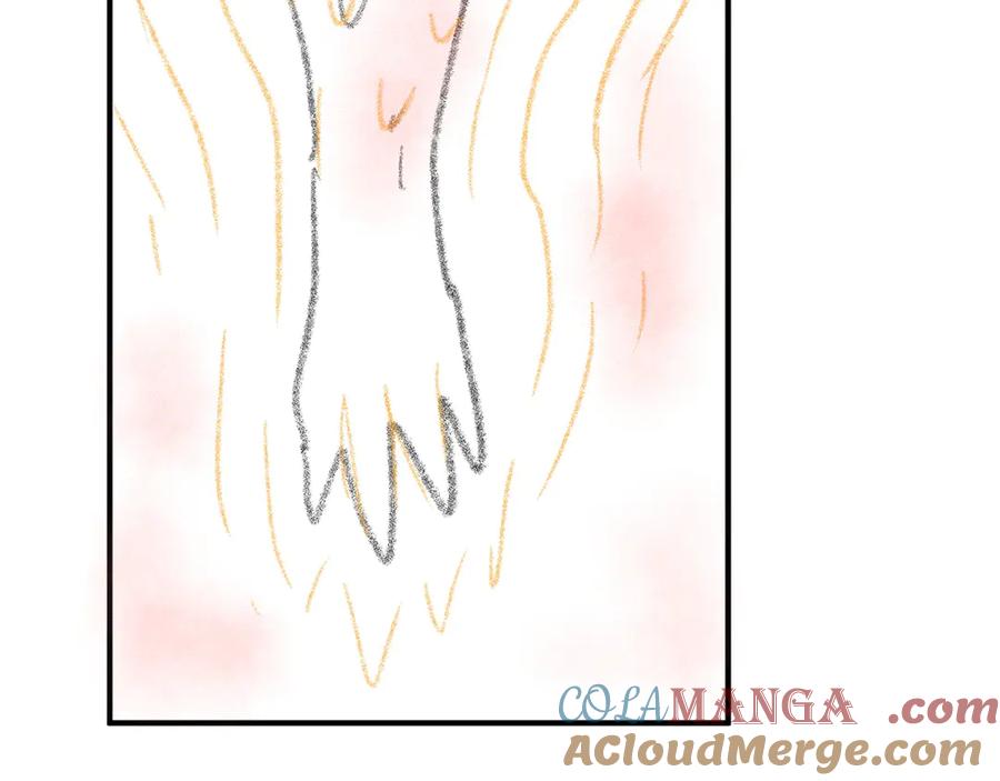 113.jpg