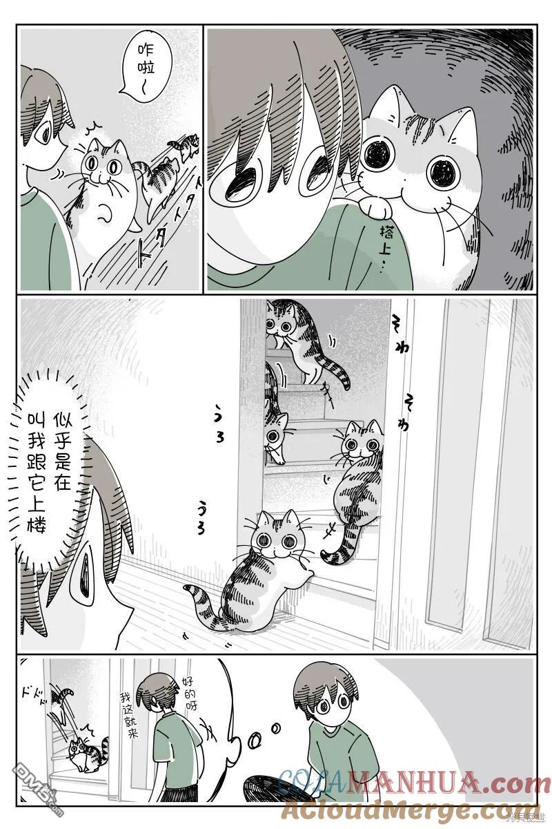 第183话-关于养猫我一直是新手-キュルZ（第1张）
