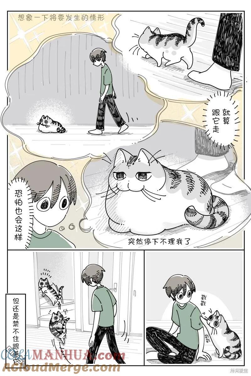 第183话-关于养猫我一直是新手-キュルZ（第2张）