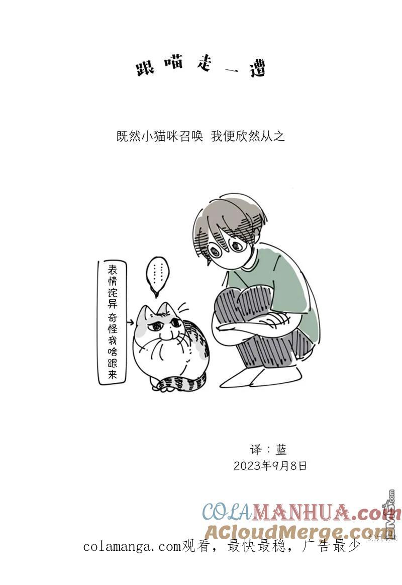 第183话-关于养猫我一直是新手-キュルZ（第3张）