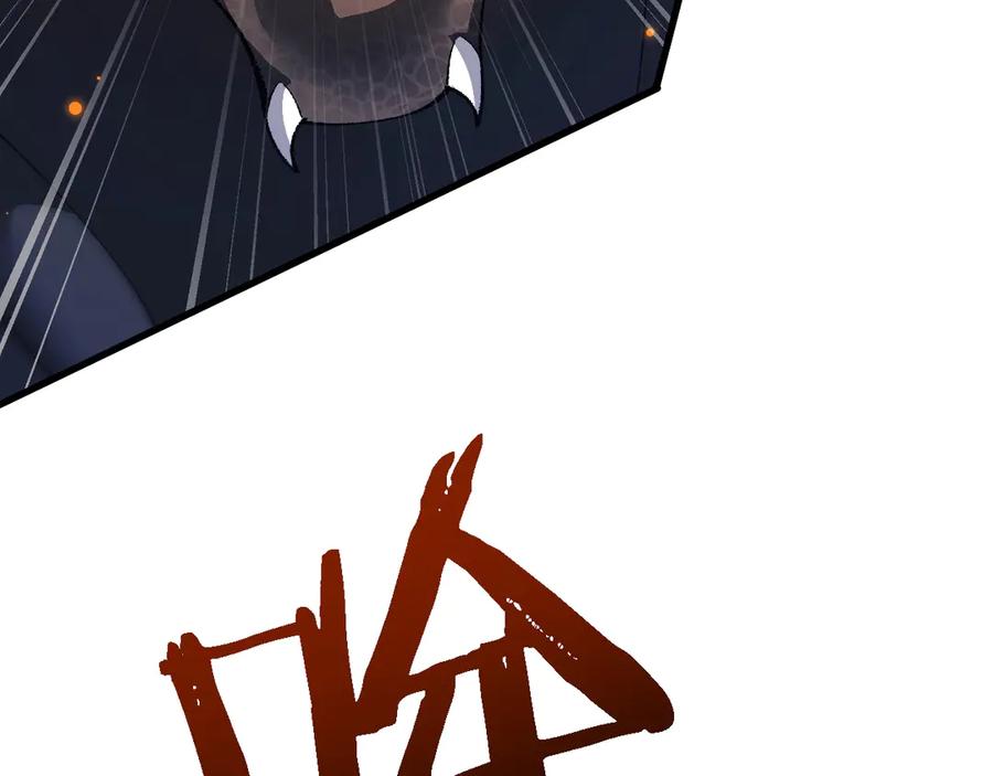 144.jpg
