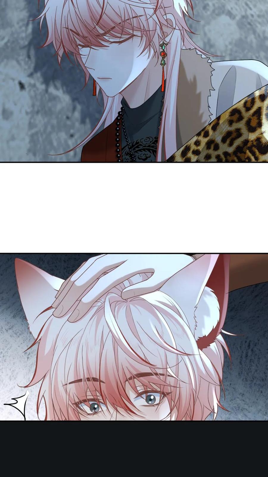 20.jpg